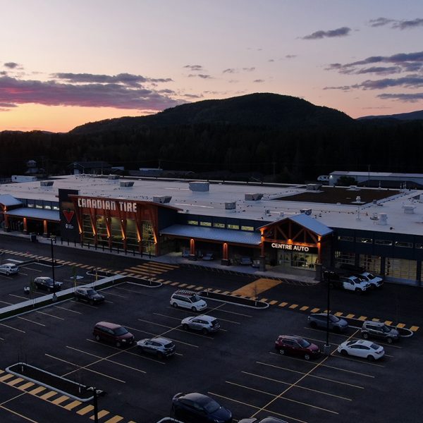 toirtute-plante-plat-08